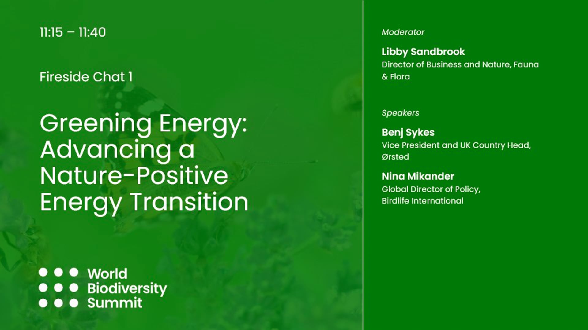 Greening Energy- Advancing A Nature-Positive Energy Transition