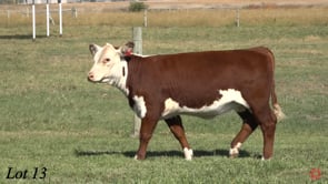 Lot #13 - SM KE MISS VANITY 422 /ET