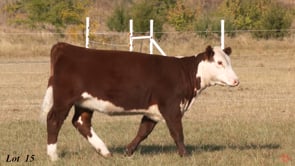Lot #15 - OCC ABIGAIL 405