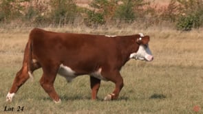Lot #24 - 4150