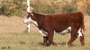 Lot #26 - BLME BUXTON 41M