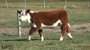 Lot #27 - CGH SIMON 401 ET