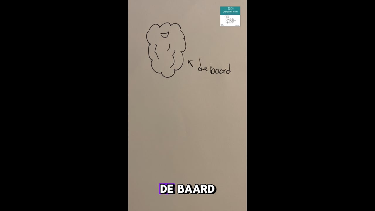 Baard (de) van Sint