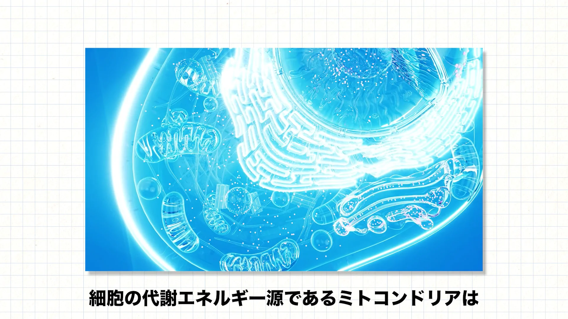 次世代高吸収型・還元型コエンザイムQ10 ShiroQ打錠剤® | 株式 次世代高吸収型・還元型コエンザイムQ10 ShiroQ打錠剤® | 株式