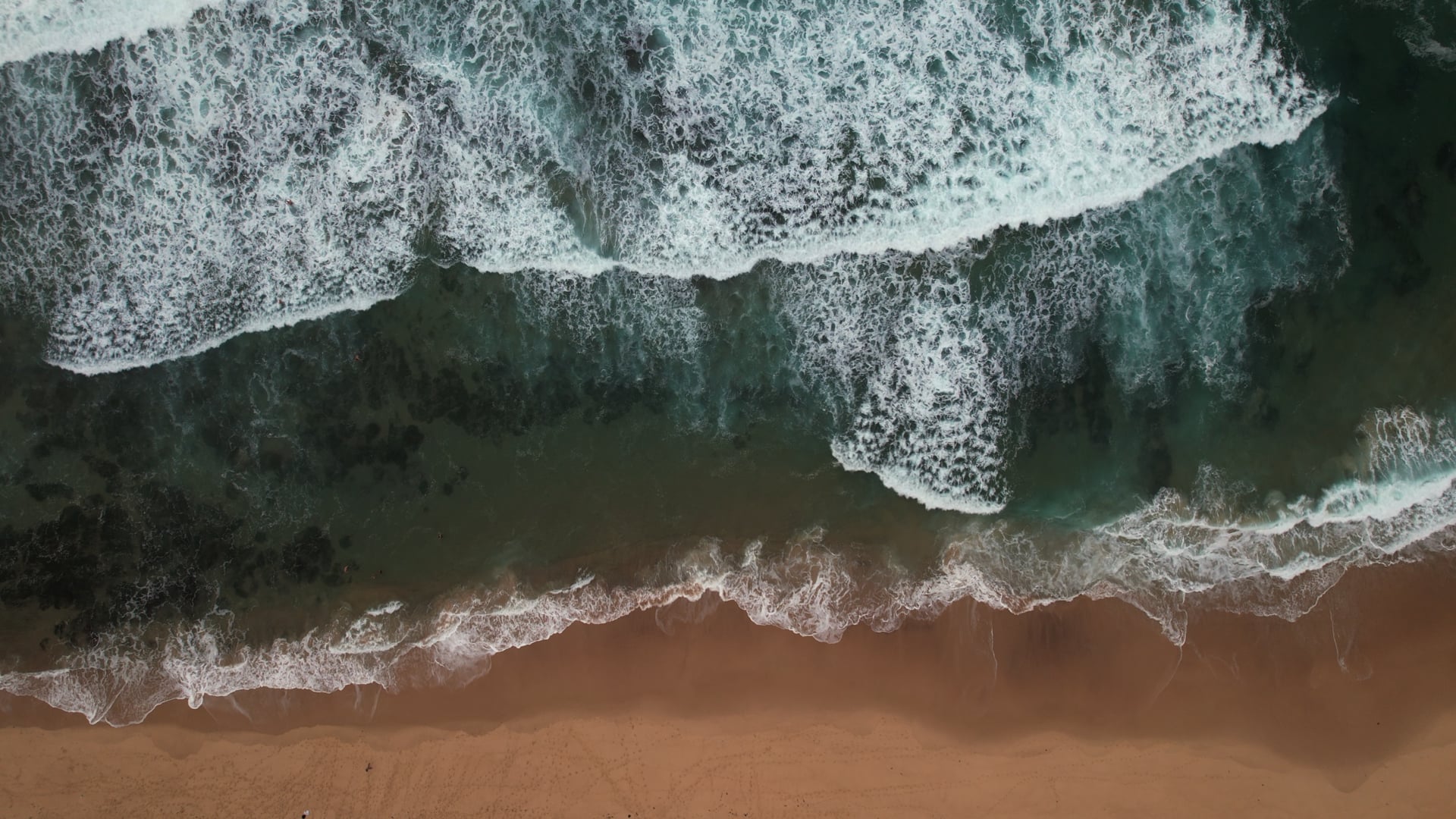 50 Memorial Drive - Presence