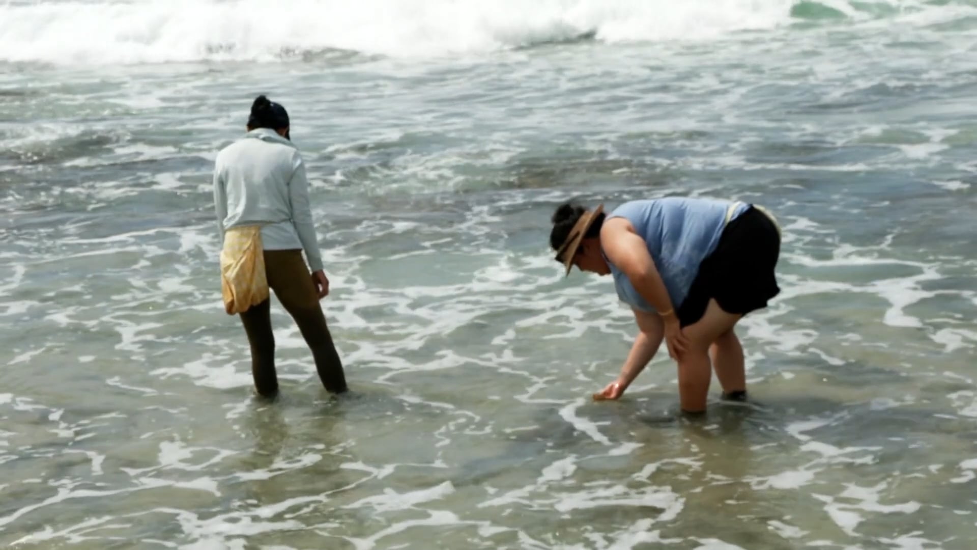 Limuhinaula: Stories Celebrating Women and Limu, Past & Present