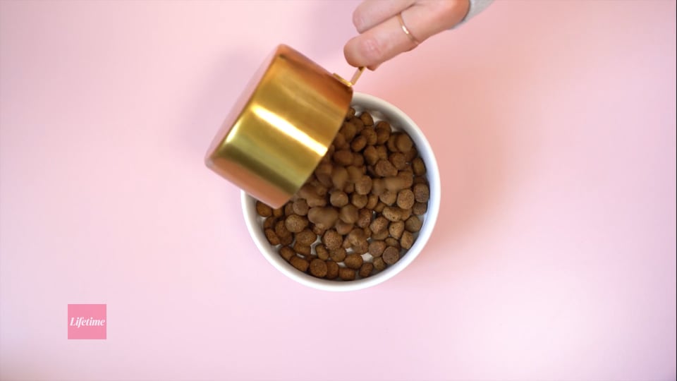 Festive Foods for Your Dog