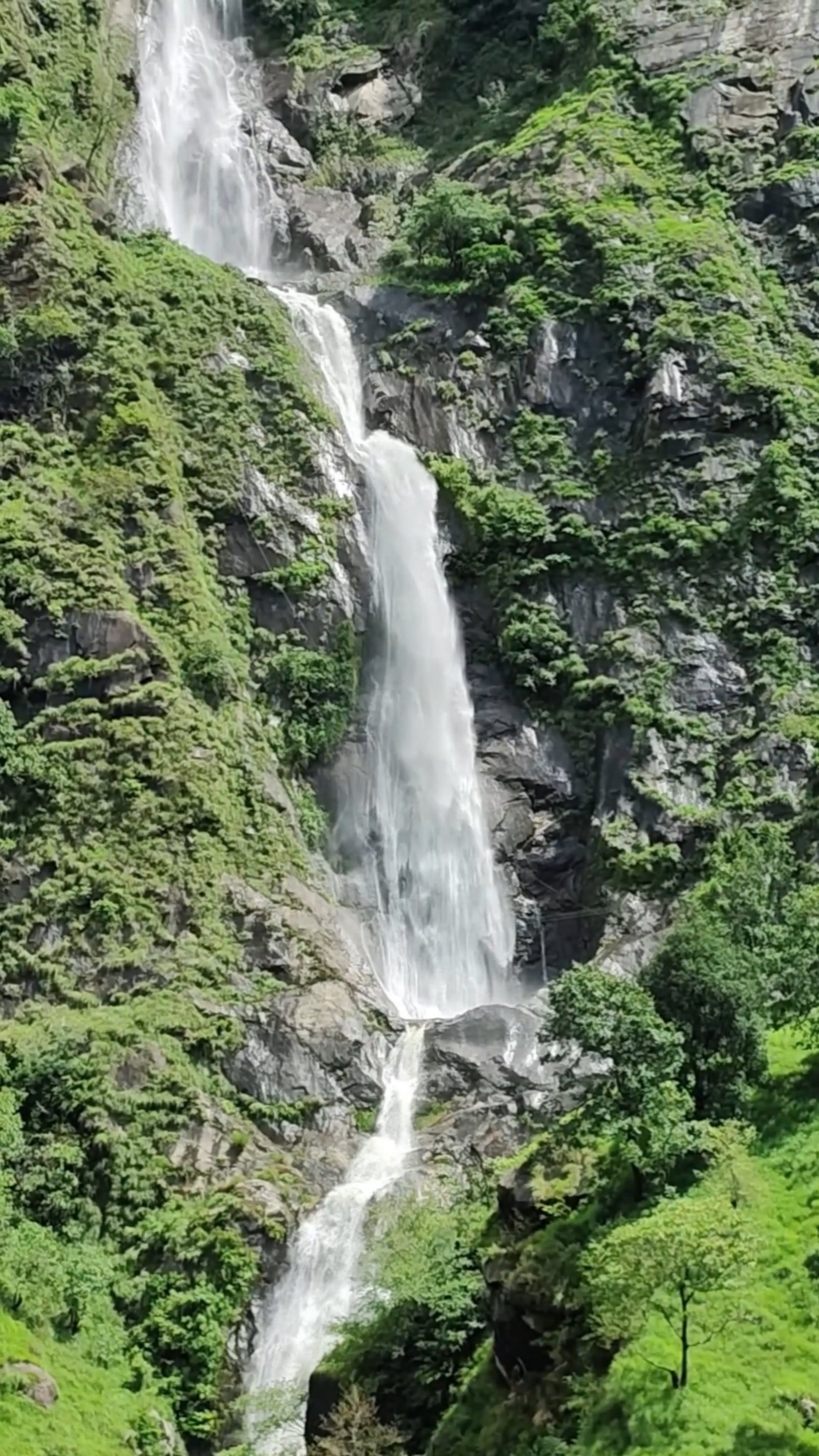 https://i.vimeocdn.com/video/1945255922-3ad187ffecb67a3a9eca1d4904ad57fdbd4855bd0754b7cd2268cb83c8738cc3-d
