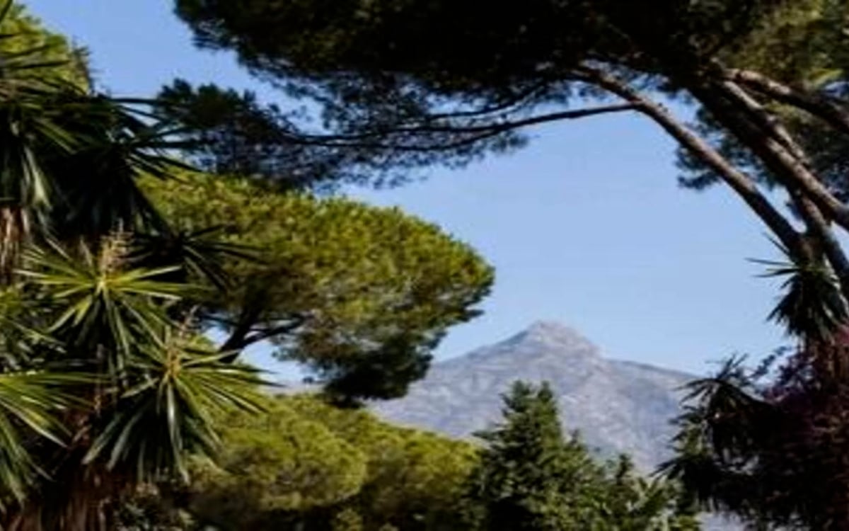 Duplex for Sale in Marbella