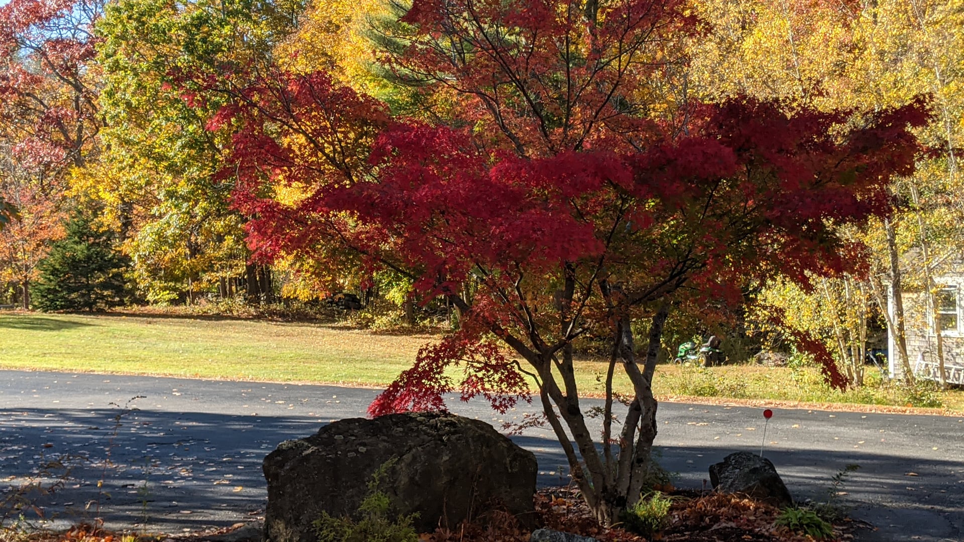 2024 October 28: Investigating Process Not Content