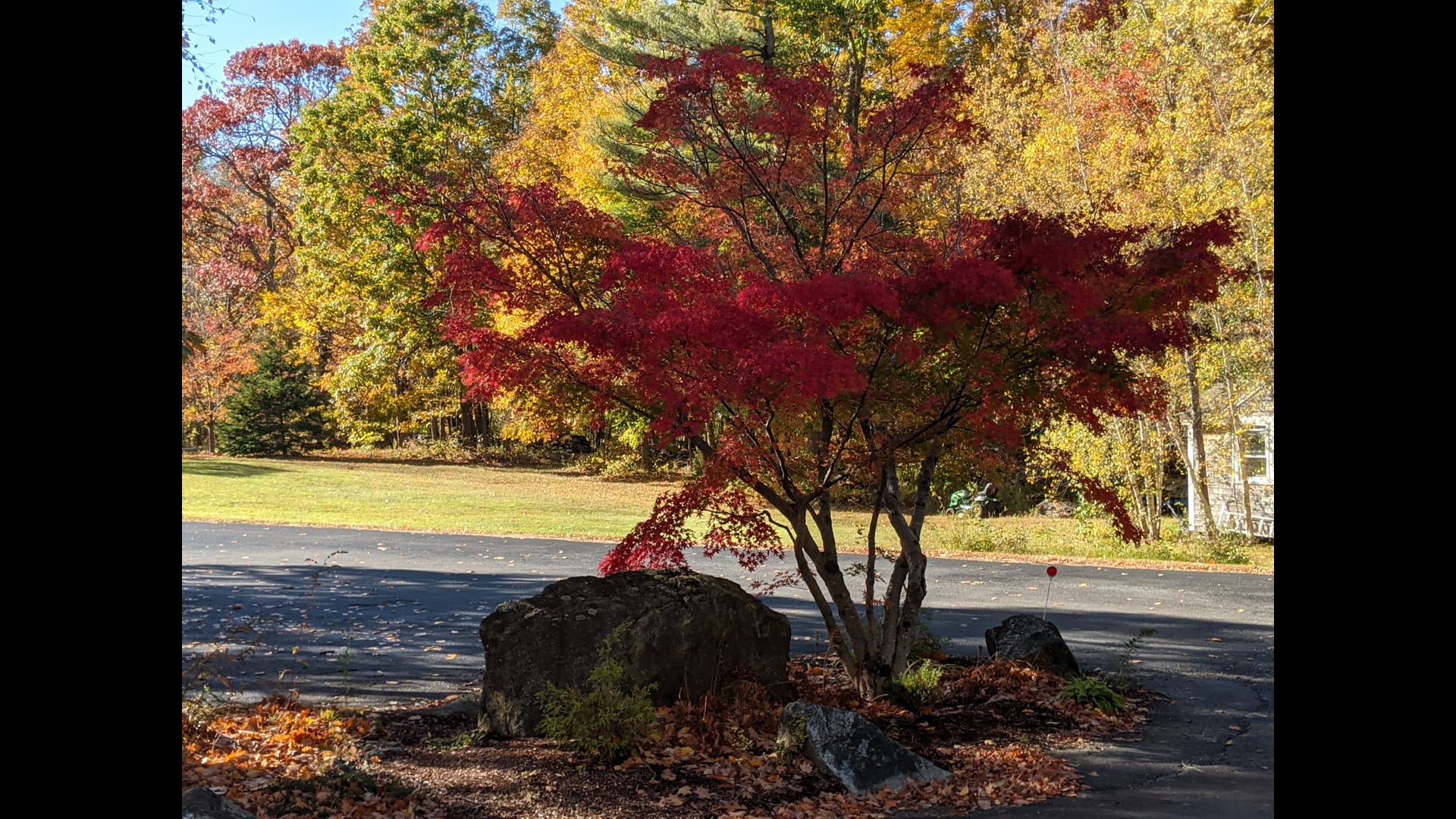 2024 October 28: Investigating Process Not Content