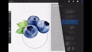 Procreate Realistic Fruit Texture, a Brush Add-On by HopeArtIllustration (Thumbnail 9 of 9)