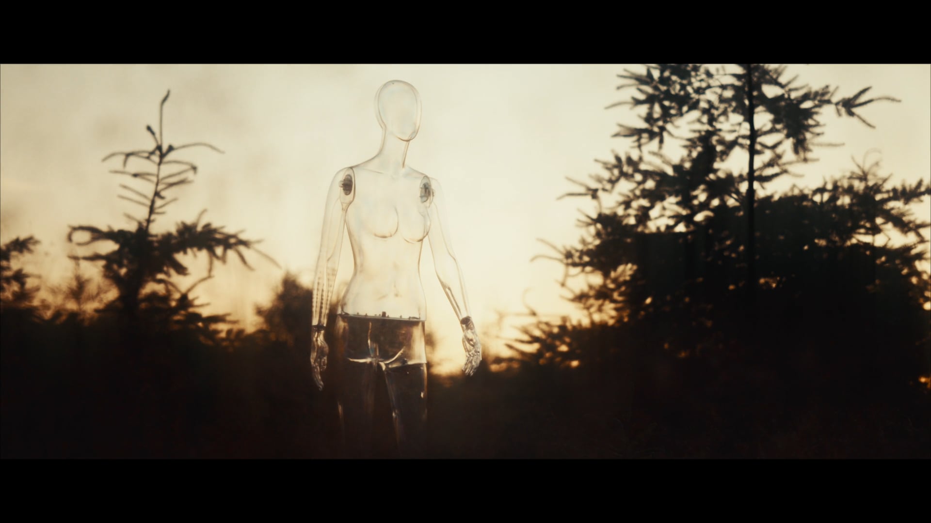 VERTEX_The Purest LIght