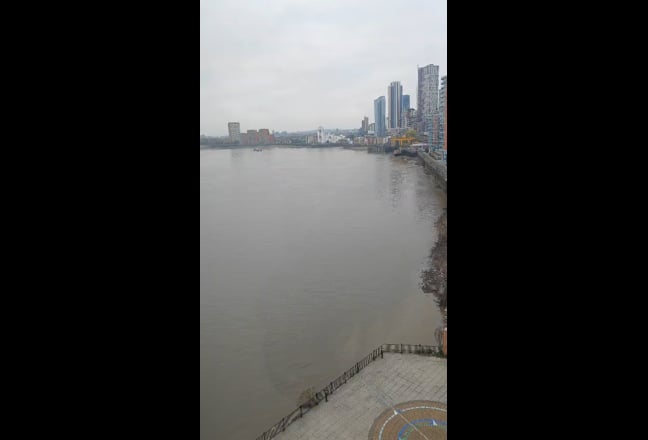 Video 1: