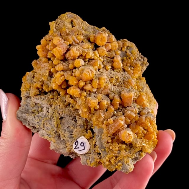 Pyromorphite (unusual style for the locality)