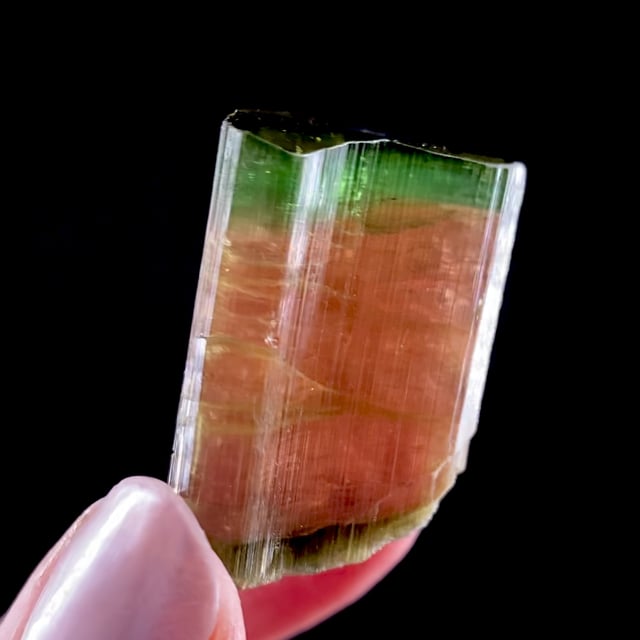 Tourmaline (multi-color doubly-terminated crystal)