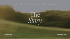 The Story: Christ Descending to Ascend | Tim Sheridan | Mundy Park