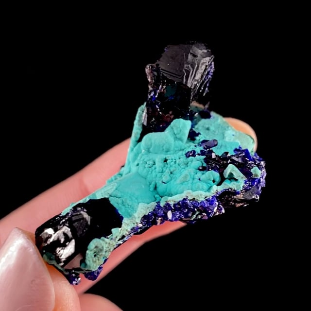 Azurite with Rosasite (RARE combo from Tsumeb)