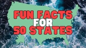 Vimeo Thumbnail