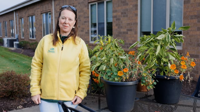 How to Grow Peppers in Containers