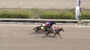 Kingsbarns | 2024 Allowance at Gulfstream Park