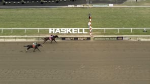 Dornoch | 2024 Haskell Stakes (G1) at Monmouth Park