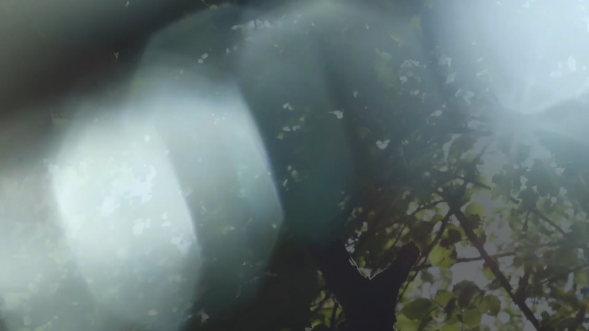 Fog  [ 360 REALITY AUDIO EXPERIENCE_For Headphones ]