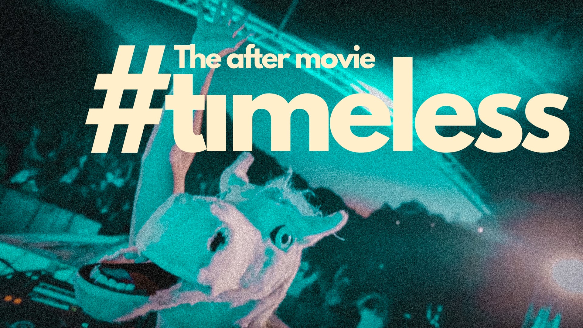 TIMELESS FESTIVAL