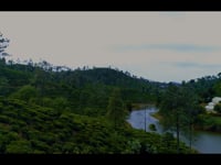 Malwatte TEA