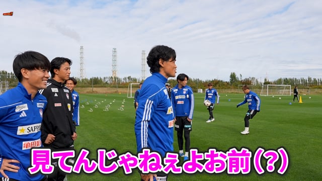 アルビレオ新潟 フラッグ 希少 プレミア アルビレックス サッカー 1部