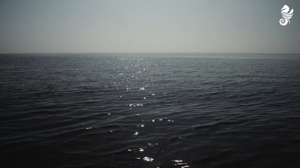 Green Ocean Foundation