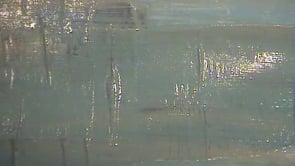 image du film 'La Wallonie de la Meuse à Comines'