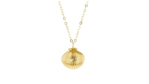 Italian 10kt Yellow Gold Seashell Necklace
