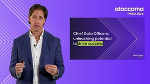 Chief Data Officers: Unleashing potential to drive success