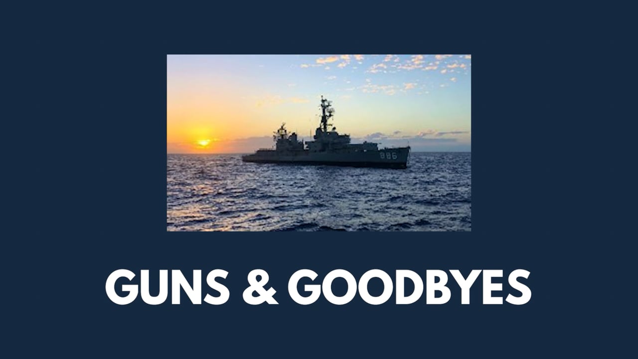 Larry McConnell - Guns & Goodbyes