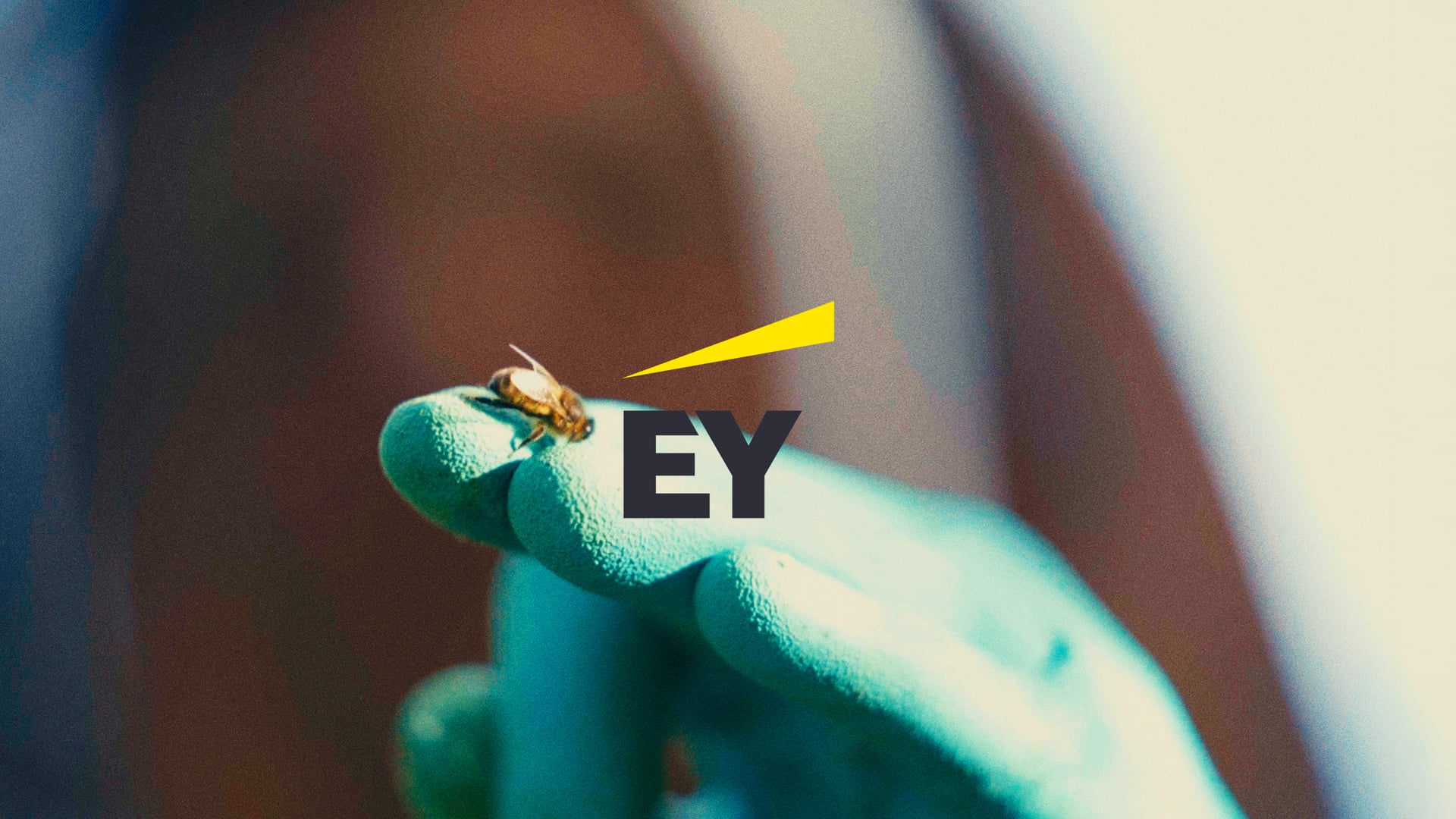 EY - Let it be told