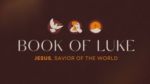 11/10/2024 - LUKE 23 - Lamb of God