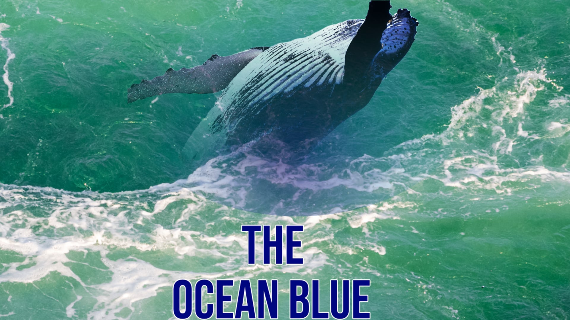 The Ocean Blue Project