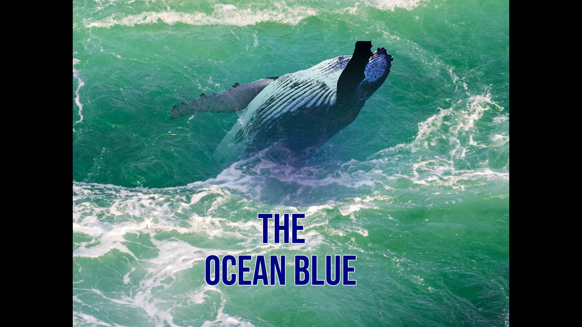 The Ocean Blue Project