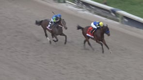 National Treasure | 2024 Pegasus World Cup (G1) at Gulfstream Park