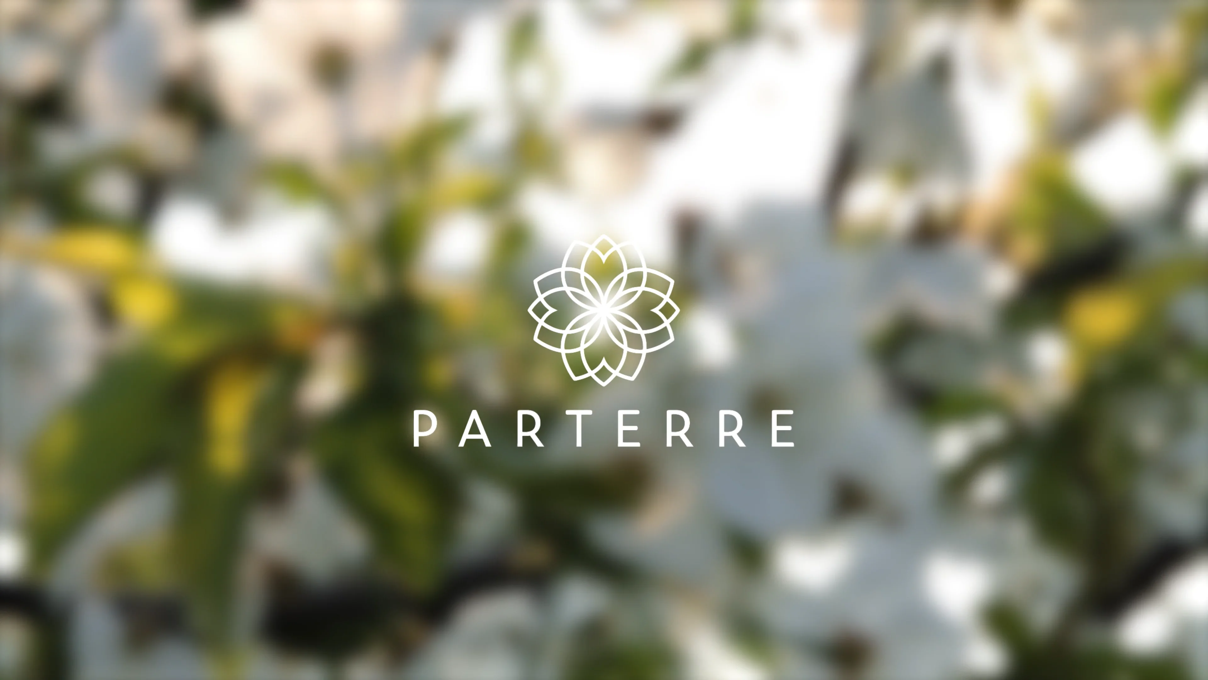 Parterre - 2024 Brand Video