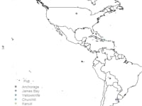 Animated video of Lesser Yellowlegs Migration
