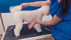 Placing angulation in the coat