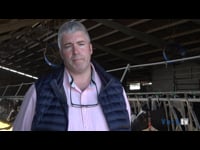 Técnico de Reprodución en Ganadería Novoa