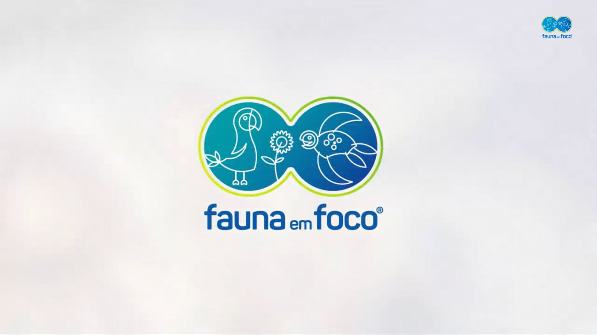 2º Dia Simpósio Estratégia Para Conservação De Animais Marin