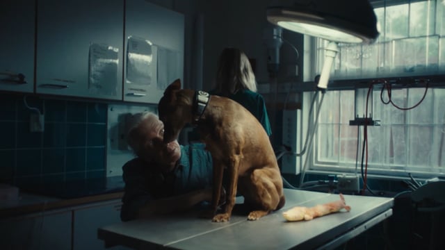 För ett bättre hundliv