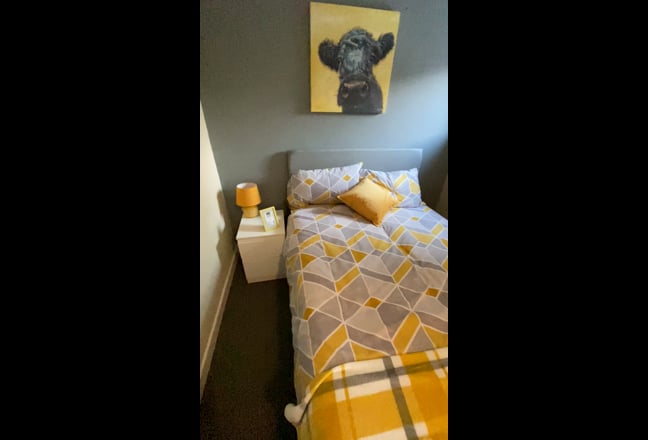 Double Room in Shared Flat Main Photo