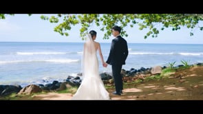 Phyllis & Mo - Wedding Highlight - Hawaii