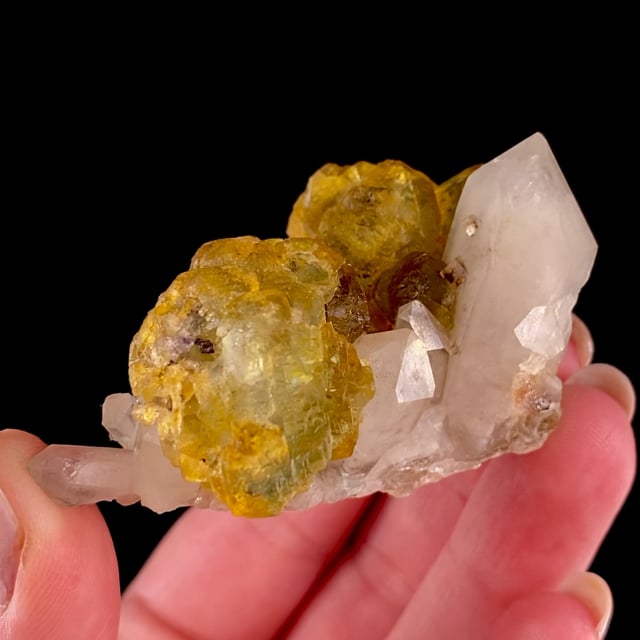 Fluorite (unusual color for the locality) on Quartz