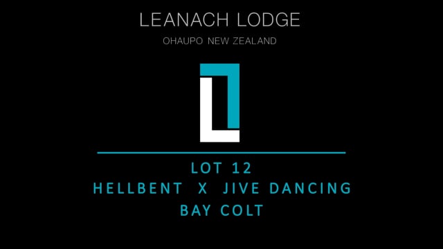 Lot 12